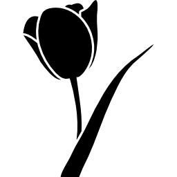 Flower shape - Free nature icons