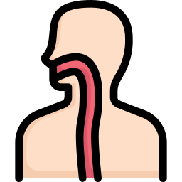 esophagus clipart