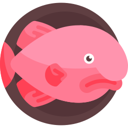 Blobfish: The Loss of an Icon