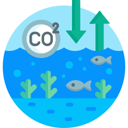 Ocean Acidification - Free Animals Icons