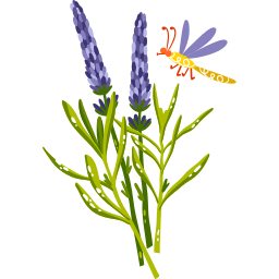 lavanda sticker