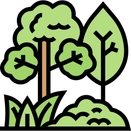 Forest - Free nature icons