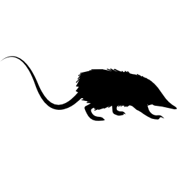 Rat silhouette - Free animals icons