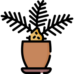 Lady palm - Free farming and gardening icons