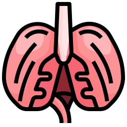 Diaphragm - Free medical icons