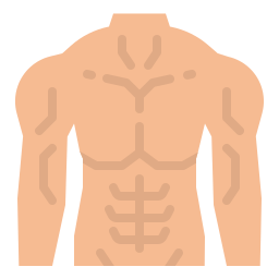 Roblox Muscle Template - FREE Download