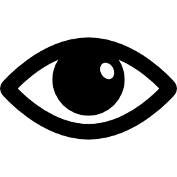 Visible opened eye interface option - Free interface icons