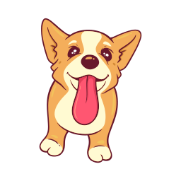 corgi 