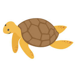 tortuga 