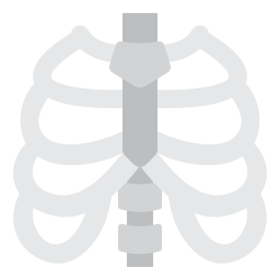 Thorax - Free healthcare and medical icons