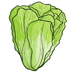 lechuga 