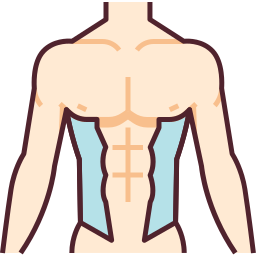 muscular torso Icon - Download for free – Iconduck