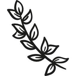Ícones De Computador, Mandrake, folha, ramo, outros png