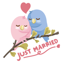 pájaros del amor 