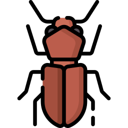 Powderpost beetle - Free animals icons