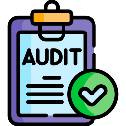 IT Audit