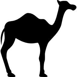 Dromedary Facing Right - Free animals icons