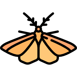 Moth - Free animals icons