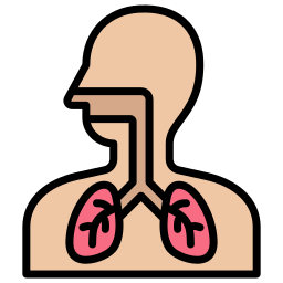 Respiratory System - Free healthcare and medical icons