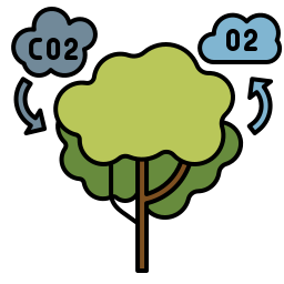 Photosynthesis - Free nature icons