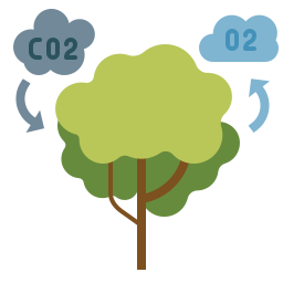 Photosynthesis - Free nature icons