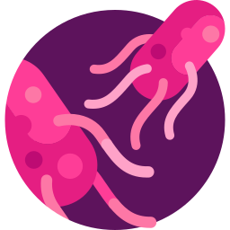 Salmonella typhi - Free nature icons