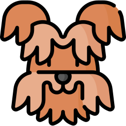 Yorkshire Terrier - Free animals icons