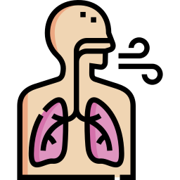 Respiratory System - Free user icons