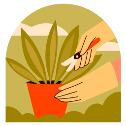 plantar 