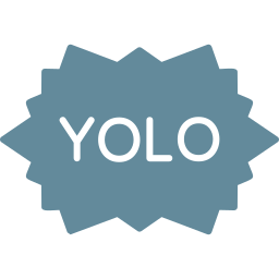 yolo sticker