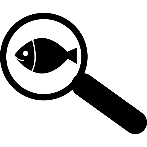 Magnifying glass and fish free icon