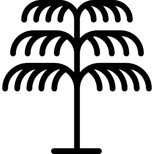 palmera icono gratis