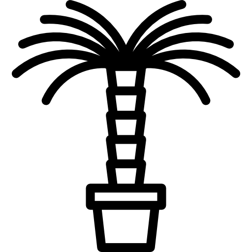 palmera icono gratis