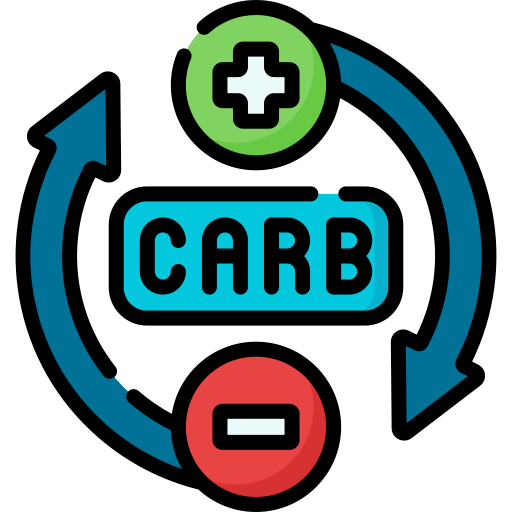 Carb Special Lineal color icon