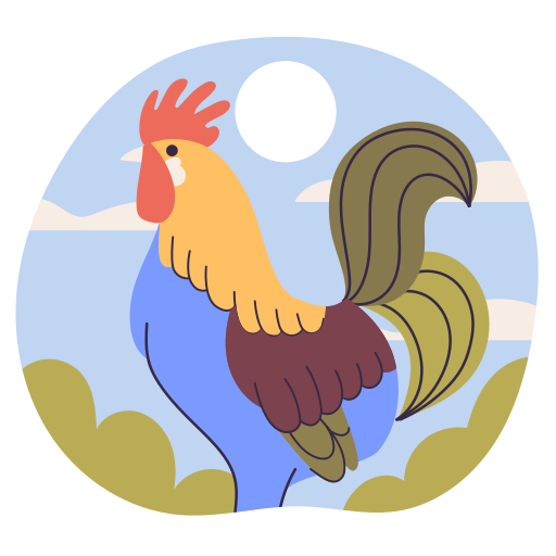 Rooster free sticker