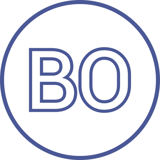 Bo Generic color outline icon