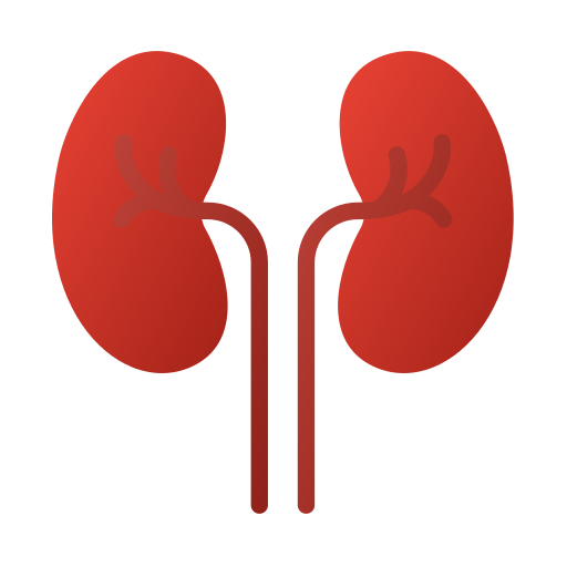 Kidney Generic gradient fill icon