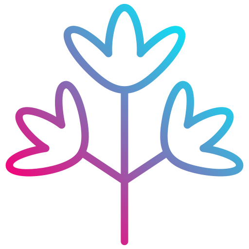 Coriander free icon