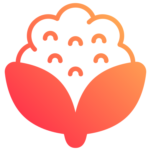 Cauliflower free icon Cauliflower free icon
