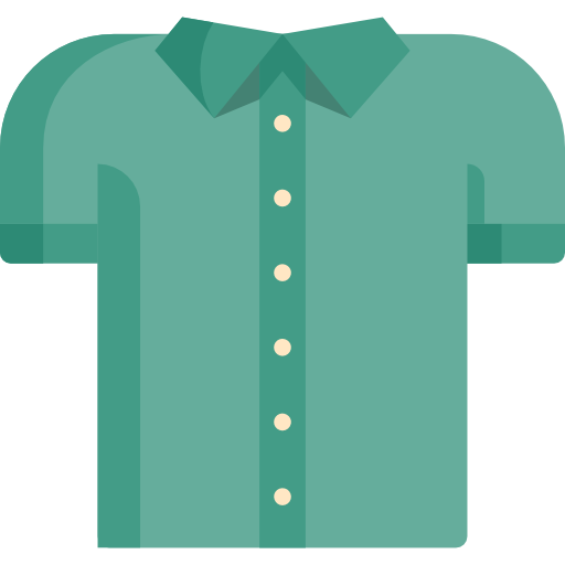 Shirt Special Flat icon