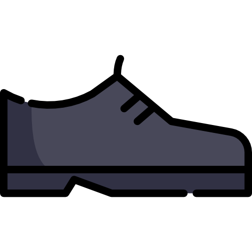 Shoe Special Lineal color icon