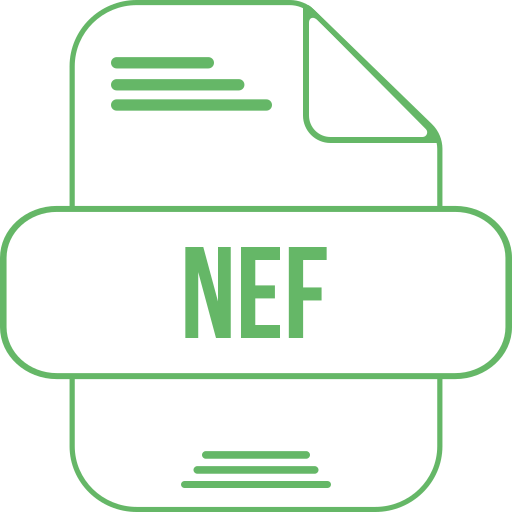 nef icono gratis