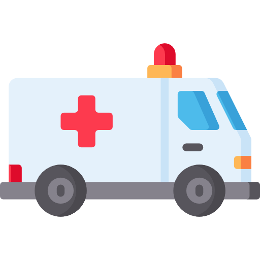 Ambulance Special Flat icon