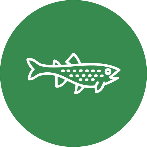 Trout Generic color fill icon