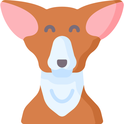 Chihuahua - Free animals icons