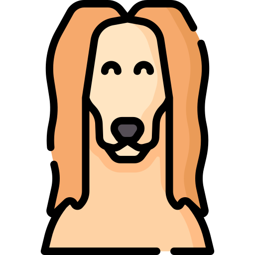 Afghan Hound Special Lineal color icon