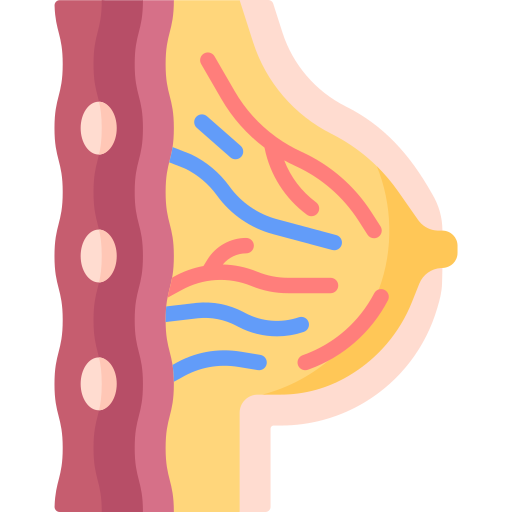 vasos mamarios icono gratis