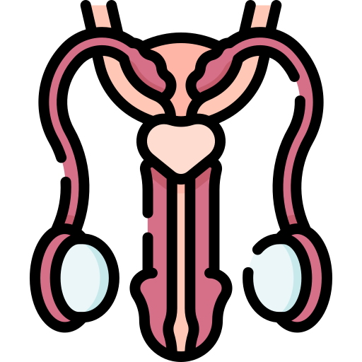 sistema reproductivo icono gratis