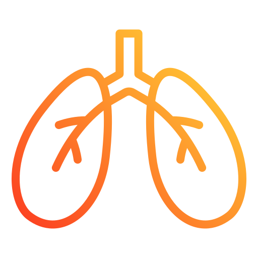 Lungs Generic gradient outline icon