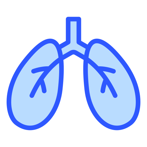 Lungs Generic color lineal-color icon